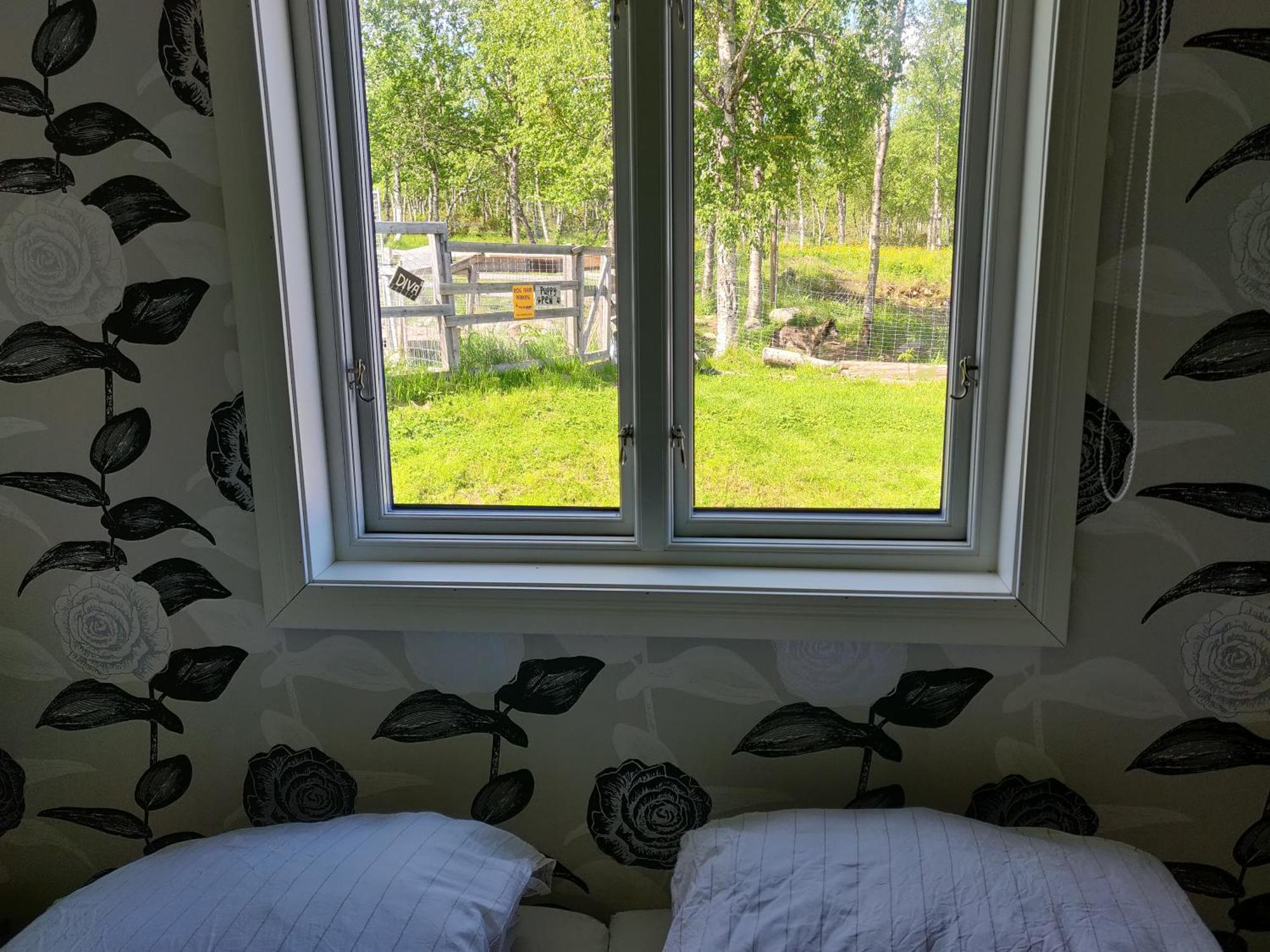 Husky Lodge Hostel Kiruna Camera foto