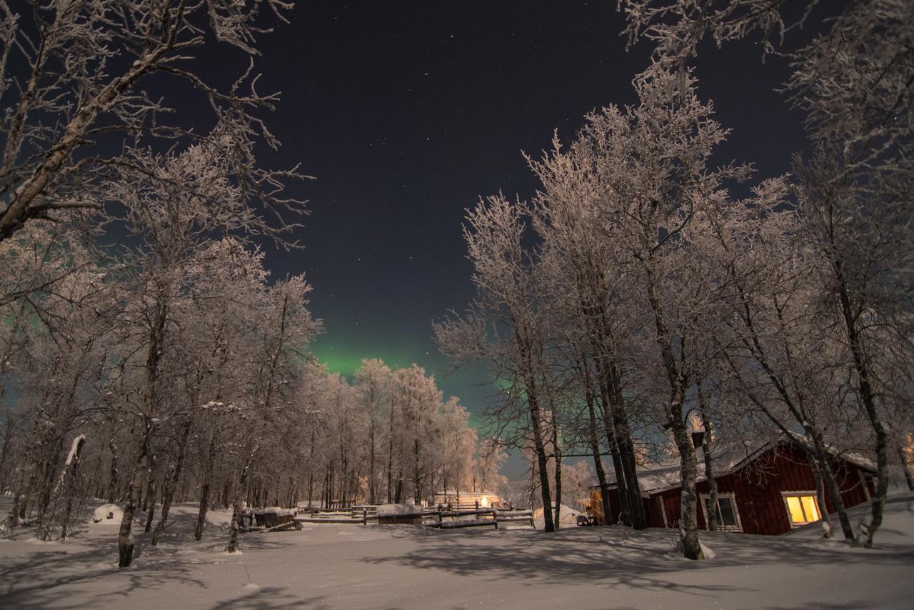 Husky Lodge Hostel Kiruna Esterno foto