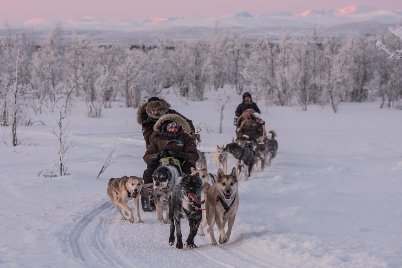 Husky Lodge Hostel Kiruna Esterno foto