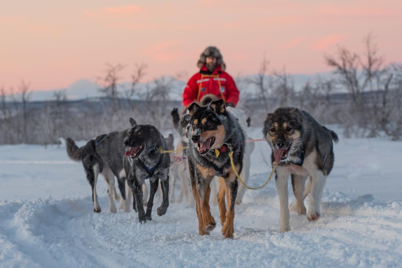 Husky Lodge Hostel Kiruna Esterno foto